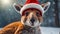 Cute kangaroo wearing Santa hat snow weather look December