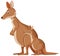 Cute kangaroos standing on white background