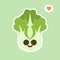 cute and kawaii Chinese cabbage character . Vegetables. Natural food, vegetarian, vegan and healthy nutrition. Flat vector