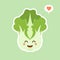 cute and kawaii Chinese cabbage character . Vegetables. Natural food, vegetarian, vegan and healthy nutrition. Flat vector