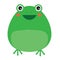 Cute kawaii frog character. Children style, vector illustration