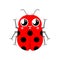 Cute kawaii ladybug isolated. funny bug cartoon style. kids character. Childrens style