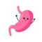 cute kawaii stomach cartoon healthcare internal human organ system for education school science style