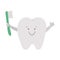 Cute kawaii tooth holding toothbrush. Vector teeth icon for children design. Funny dental care picture for kids. Dentist baby