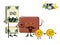 Cute kawaii vector illustration of money characters: old bundle of dollar bills, brown leather wallet and couple of golden coins.