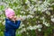 Cute kid girl in a pink hat with pigtails in a blue denim jacket sniffs flowers of a cherry bush