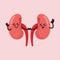 Cute kidney organ human mascot design illustration