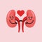 Cute kidney organ human mascot design illustration