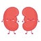 cute kidneys icons