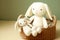 cute kids knitted toys little white bunny with baby nile