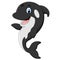 Cute killer whale cartoon