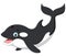 Cute killer whale cartoon