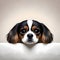 Cute King Charles Cavalier puppy - ai generated image