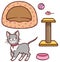 Cute kitten and accessories for him: a house, a scraper, a mouse, a bowl. Vector color image on a transparent background