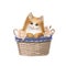 cute kitten in the basket of flowers, watercolor style illustration, birthday clipart with lovely character