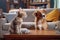 cute kitten and dog in a sitcom, sharing living room and causing chaos
