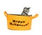 Cute kitten in Halloween basket