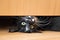 Cute kitten lying under drawer of wardrobe