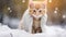 a cute kitten peacefully sleeping, wrapped in a warm knitted sweater, in a serene winter park, falling snow, ample copy