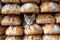 Cute Kitten Peeking Out from Freshly Baked Bread Loaves at Bakery