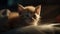 Cute kitten, playful and fluffy, staring with curiosity, purebred beauty generated by AI
