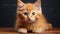 Cute kitten sitting, staring, playful, fluffy, looking at camera generated by AI