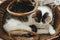 Cute kitten sleeping in wicker basket top view. Adorable sweet cat relaxing on rustic blanket in basket. Pet napping at home,