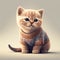 Cute kitten in sweater sitting. Small cat in gray sweater watching. Generative AI illustration.