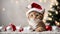 Cute kitten wearing Santa Claus red hat. Merry Christmas and Happy New Year decoration. Generative AI