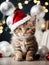 Cute kitten wearing Santa Claus red hat. Merry Christmas and Happy New Year decoration. Generative AI