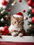 Cute kitten wearing Santa Claus red hat. Merry Christmas and Happy New Year decoration. Generative AI