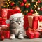 cute kitten wearing santa hat