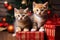 Cute Kittens and Christmas Boxes, Cat Present and Christmas Tree, Xmas Greeting Card with Cute Cats