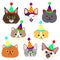 Cute kitties face with party hat set