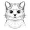 Cute kitty cat, hand drawn graphic sketch illustration of a cat face