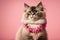 A cute kitty with a Hawaiian lei garland on necklace on pink background with copy space. Generative AI