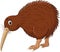 Cute kiwi bird cartoon