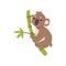 Cute koala bear climbing tree branch, Australian marsupial animal character vector Illustrations on a white background