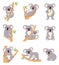 Cute koala. Funny australia animals collection, fluffy gray mini bear in different poses, mom and baby, eucalyptus trees