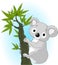 Cute koala on a tree