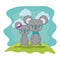 cute koalas couple characters vector illustration
