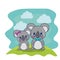 cute koalas couple characters vector illustration