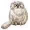 Cute Komondor dog character funny cartoon illustration