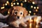 Cute Labrador puppy on a wooden floor near Christmas candles. New Year calendar, postcard with a dog