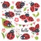 Cute ladybird set, funny little insect collection