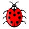 Cute ladybug cartoon isolated on white background. Vector ladybird illustration, decorative red beetle with seven dots on his wing