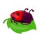 Cute ladybug insect mascot design illustration