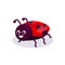 Cute ladybug insect mascot design illustration