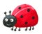 Cute Ladybug looking left