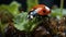 A cute ladybug sitting on a wet leaf in springtime generated by AI